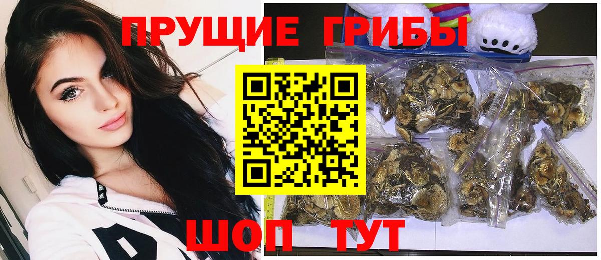 Псилоцибиновые грибы Psilocybine cubensis Серпухов