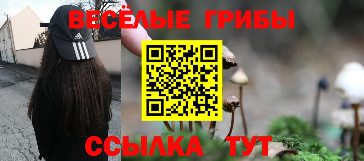 Канабис  ГАШИШ  Вход с VPN  А ПВП СК кристаллы  Серпухов  МЕТ  Меф МЯУ МЯУ  Гашиш  МЕФ  